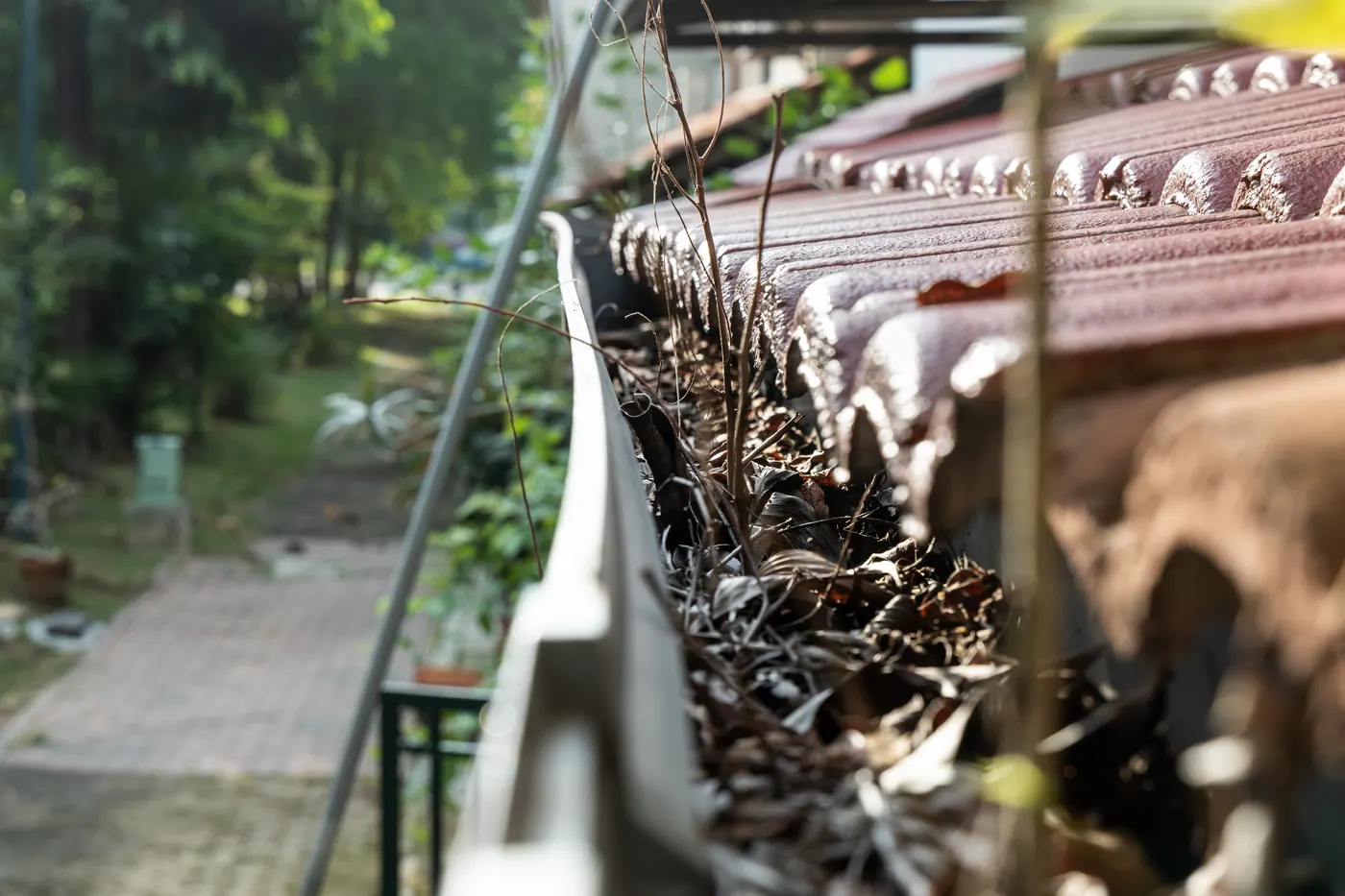 Roof gutter completely packed with dried leaves and debris